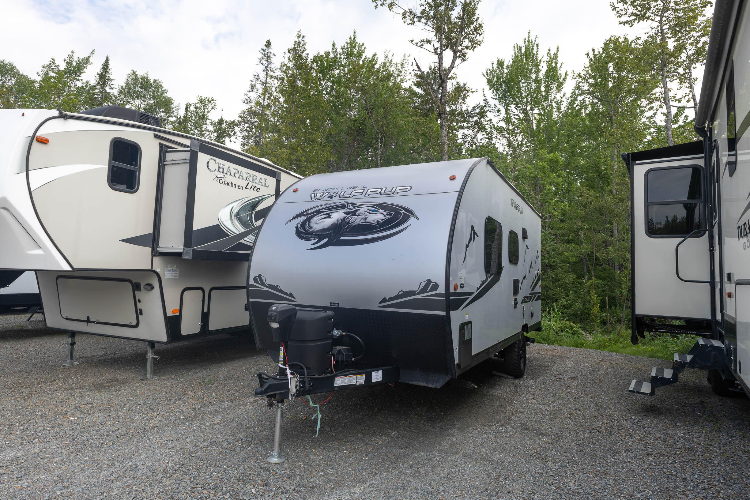 2023 Forest River Wolf Pup 16FQ TRAVEL TRAILER